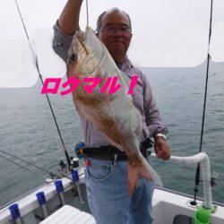 遊漁船 幸友丸 釣果