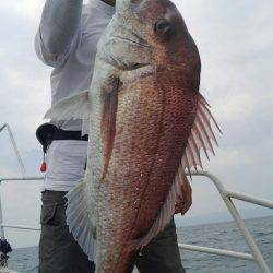 遊漁船 新鋭丸 釣果