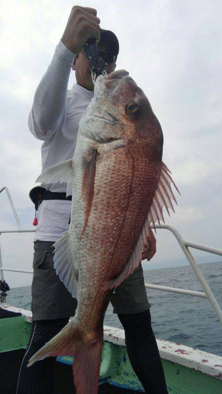 遊漁船 新鋭丸 釣果