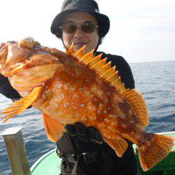 真祐丸 (しんゆうまる) 釣果