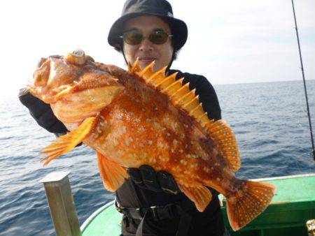真祐丸 (しんゆうまる) 釣果