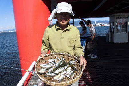 尼崎市立魚つり公園 釣果