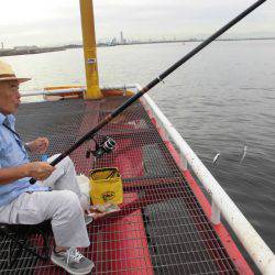 尼崎市立魚つり公園 釣果