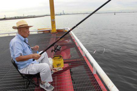 尼崎市立魚つり公園 釣果