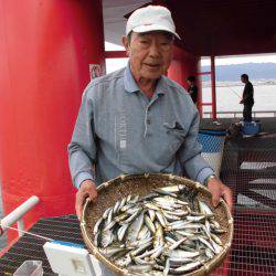 尼崎市立魚つり公園 釣果