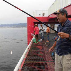 尼崎市立魚つり公園 釣果