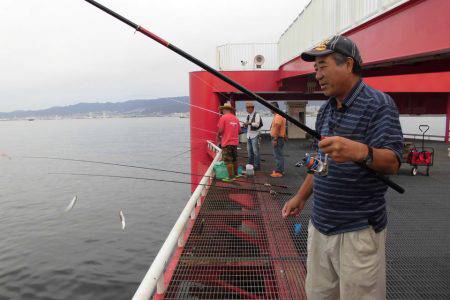 尼崎市立魚つり公園 釣果