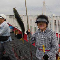 尼崎市立魚つり公園 釣果