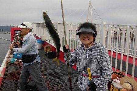 尼崎市立魚つり公園 釣果