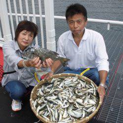 尼崎市立魚つり公園 釣果
