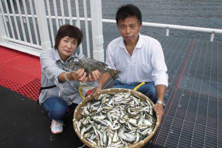 尼崎市立魚つり公園 釣果