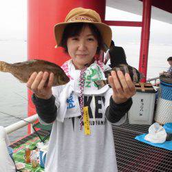 尼崎市立魚つり公園 釣果
