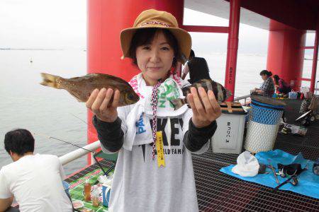 尼崎市立魚つり公園 釣果