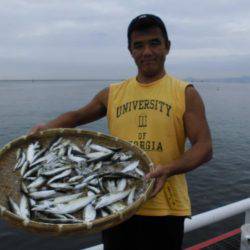 尼崎市立魚つり公園 釣果