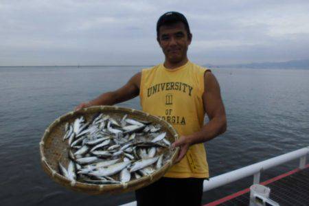 尼崎市立魚つり公園 釣果