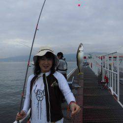 尼崎市立魚つり公園 釣果