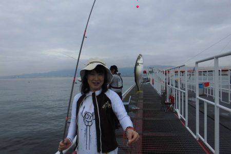 尼崎市立魚つり公園 釣果