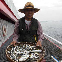 尼崎市立魚つり公園 釣果