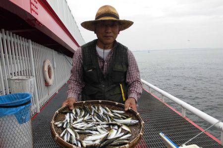 尼崎市立魚つり公園 釣果