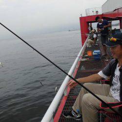 尼崎市立魚つり公園 釣果