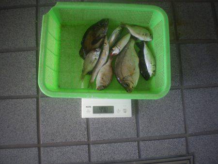 姫路市立遊魚センター 釣果