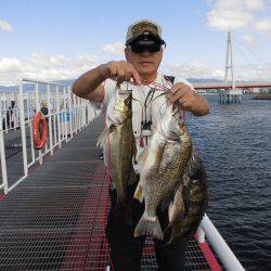 尼崎市立魚つり公園 釣果