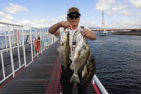 尼崎市立魚つり公園 釣果