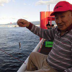 尼崎市立魚つり公園 釣果