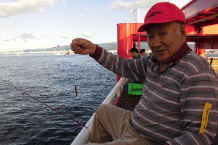 尼崎市立魚つり公園 釣果