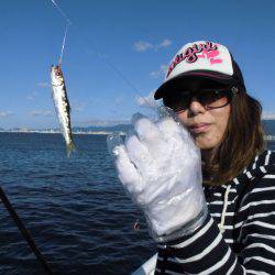 尼崎市立魚つり公園 釣果