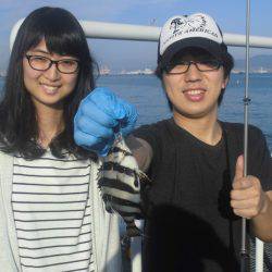 尼崎市立魚つり公園 釣果