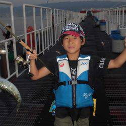 尼崎市立魚つり公園 釣果