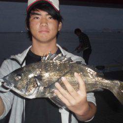 尼崎市立魚つり公園 釣果