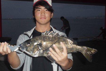 尼崎市立魚つり公園 釣果