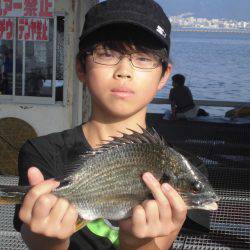 尼崎市立魚つり公園 釣果