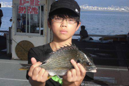 尼崎市立魚つり公園 釣果
