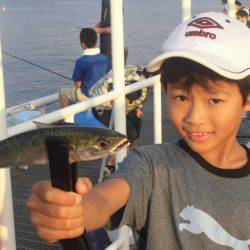 尼崎市立魚つり公園 釣果