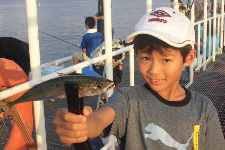 尼崎市立魚つり公園 釣果