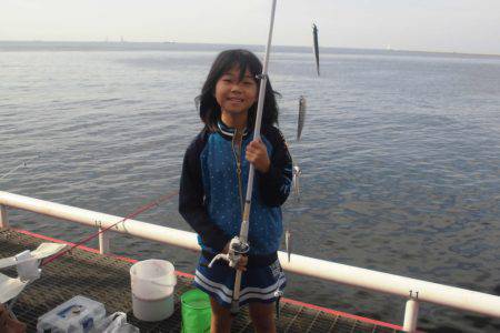 尼崎市立魚つり公園 釣果