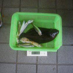 姫路市立遊魚センター 釣果