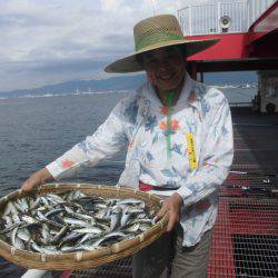 尼崎市立魚つり公園 釣果