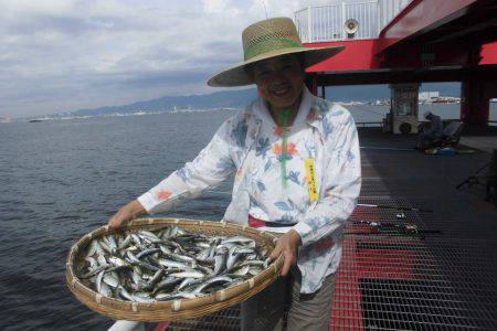尼崎市立魚つり公園 釣果