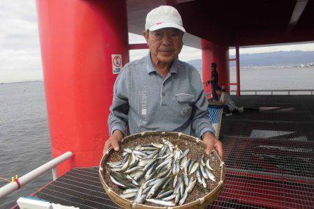 尼崎市立魚つり公園 釣果