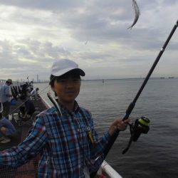 尼崎市立魚つり公園 釣果