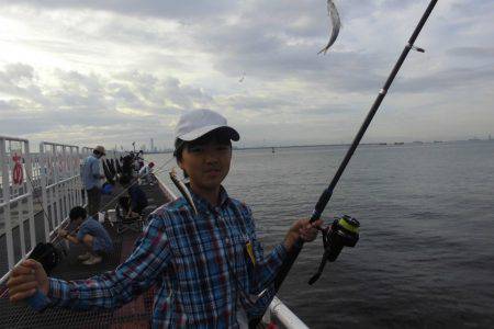 尼崎市立魚つり公園 釣果