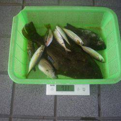 姫路市立遊魚センター 釣果