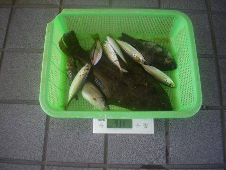 姫路市立遊魚センター 釣果