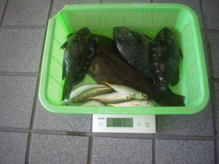 姫路市立遊魚センター 釣果