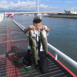 尼崎市立魚つり公園 釣果