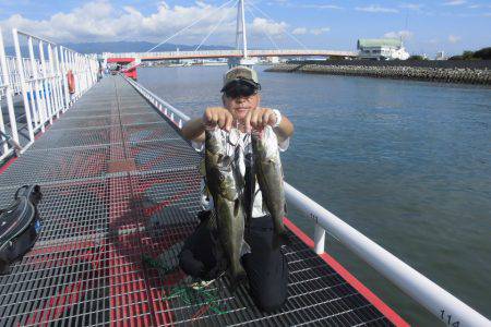 尼崎市立魚つり公園 釣果